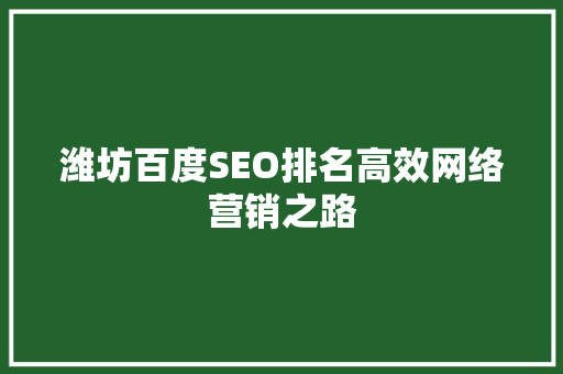 潍坊百度SEO排名高效网络营销之路