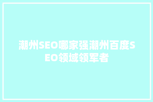 潮州SEO哪家强潮州百度SEO领域领军者