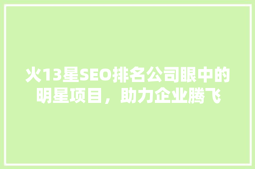 火13星SEO排名公司眼中的明星项目，助力企业腾飞