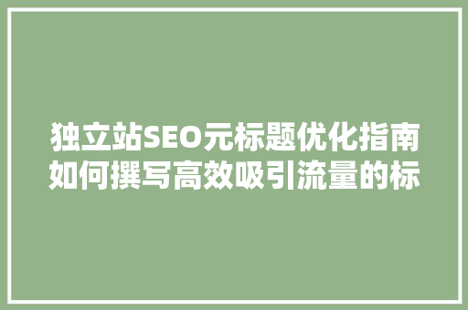 独立站SEO元标题优化指南如何撰写高效吸引流量的标题
