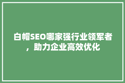 白帽SEO哪家强行业领军者，助力企业高效优化
