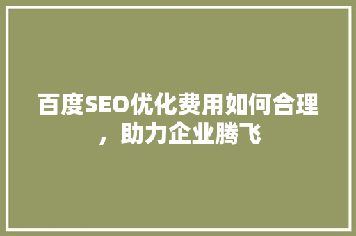 百度SEO优化费用如何合理，助力企业腾飞