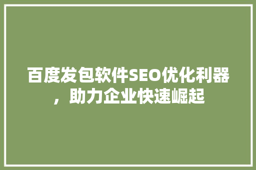 百度发包软件SEO优化利器，助力企业快速崛起