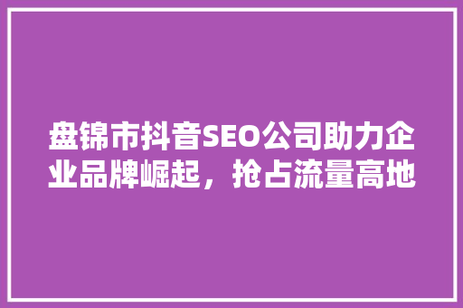盘锦市抖音SEO公司助力企业品牌崛起，抢占流量高地