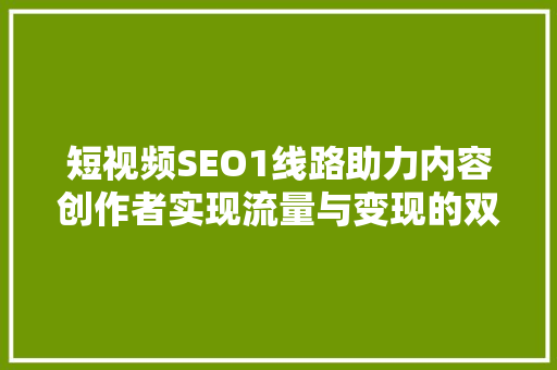 短视频SEO1线路助力内容创作者实现流量与变现的双重飞跃