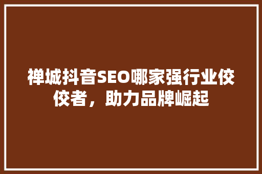 禅城抖音SEO哪家强行业佼佼者，助力品牌崛起