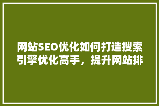 网站SEO优化如何打造搜索引擎优化高手，提升网站排名