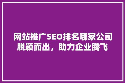 网站推广SEO排名哪家公司脱颖而出，助力企业腾飞