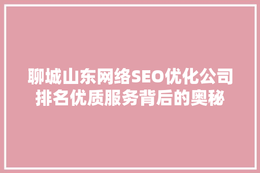 聊城山东网络SEO优化公司排名优质服务背后的奥秘