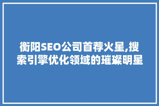 衡阳SEO公司首荐火星,搜索引擎优化领域的璀璨明星