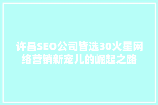 许昌SEO公司皆选30火星网络营销新宠儿的崛起之路