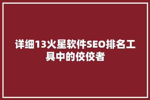详细13火星软件SEO排名工具中的佼佼者