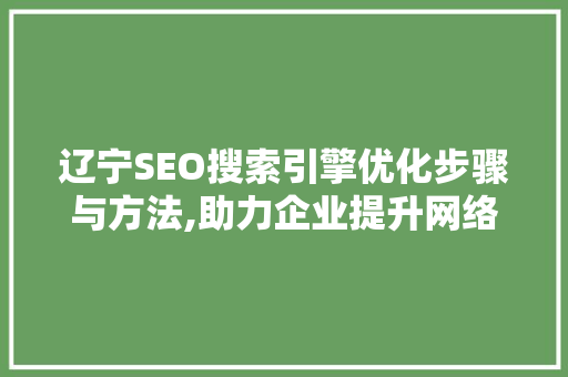辽宁SEO搜索引擎优化步骤与方法,助力企业提升网络曝光度