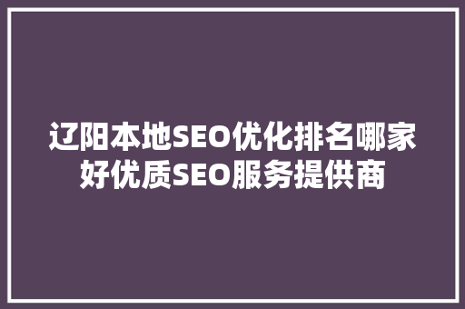 辽阳本地SEO优化排名哪家好优质SEO服务提供商