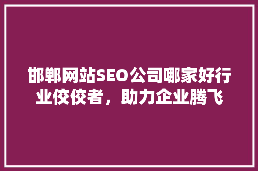 邯郸网站SEO公司哪家好行业佼佼者，助力企业腾飞