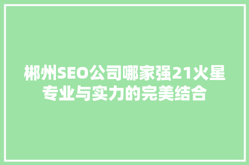 郴州SEO公司哪家强21火星专业与实力的完美结合