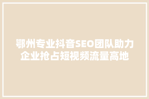 鄂州专业抖音SEO团队助力企业抢占短视频流量高地