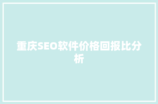 重庆SEO软件价格回报比分析