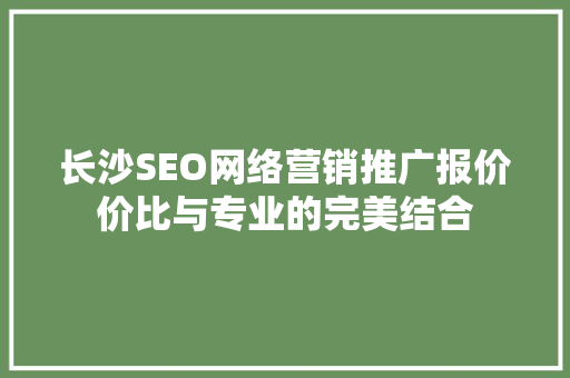 长沙SEO网络营销推广报价价比与专业的完美结合