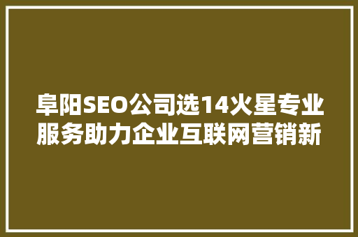 阜阳SEO公司选14火星专业服务助力企业互联网营销新篇章  第1张