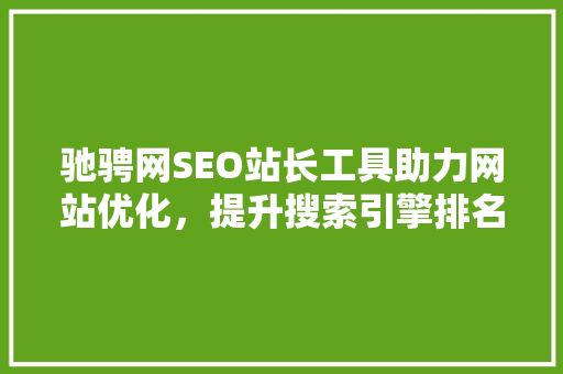 驰骋网SEO站长工具助力网站优化，提升搜索引擎排名