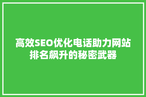 高效SEO优化电话助力网站排名飙升的秘密武器