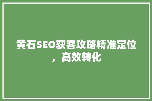 黄石SEO获客攻略精准定位，高效转化