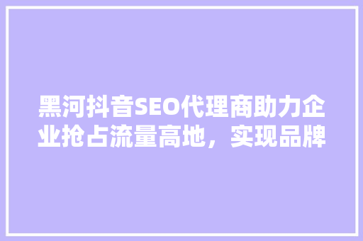 黑河抖音SEO代理商助力企业抢占流量高地，实现品牌飞跃