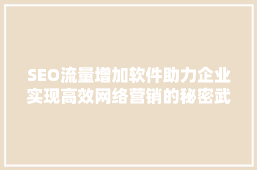 SEO流量增加软件助力企业实现高效网络营销的秘密武器