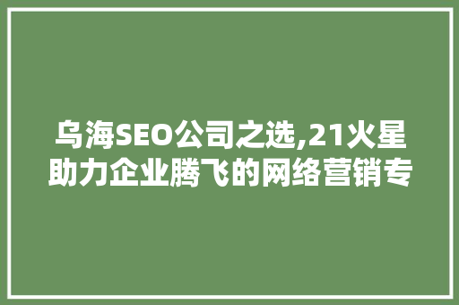 乌海SEO公司之选,21火星助力企业腾飞的网络营销专家