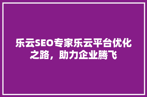 乐云SEO专家乐云平台优化之路，助力企业腾飞