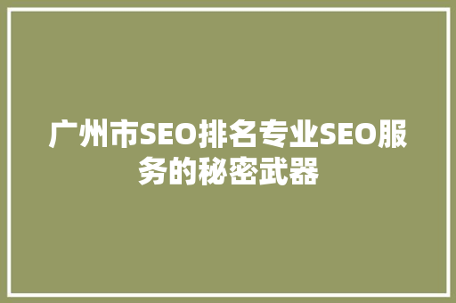 广州市SEO排名专业SEO服务的秘密武器