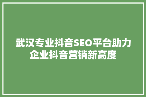 武汉专业抖音SEO平台助力企业抖音营销新高度
