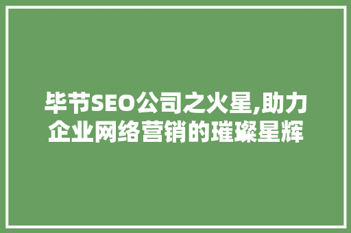 毕节SEO公司之火星,助力企业网络营销的璀璨星辉