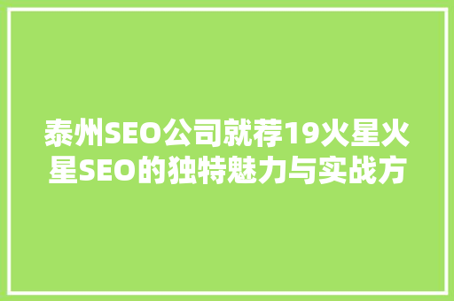 泰州SEO公司就荐19火星火星SEO的独特魅力与实战方法