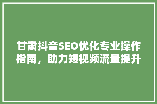 甘肃抖音SEO优化专业操作指南，助力短视频流量提升