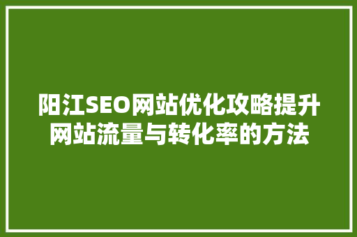 阳江SEO网站优化攻略提升网站流量与转化率的方法