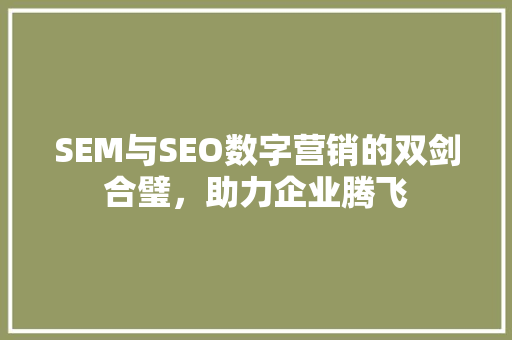SEM与SEO数字营销的双剑合璧，助力企业腾飞