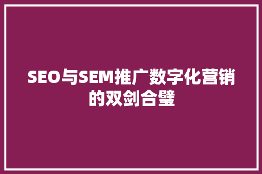 SEO与SEM推广数字化营销的双剑合璧