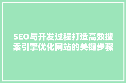 SEO与开发过程打造高效搜索引擎优化网站的关键步骤