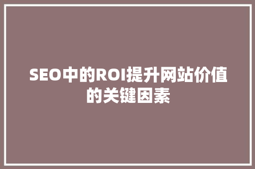 SEO中的ROI提升网站价值的关键因素