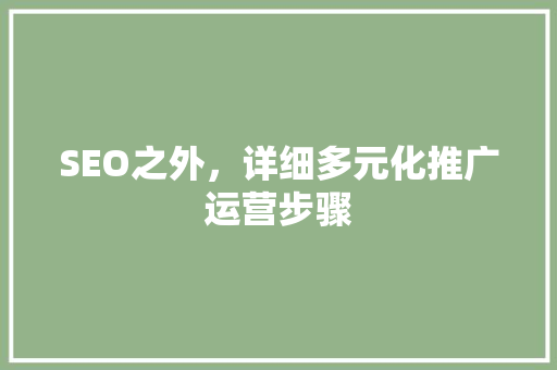 SEO之外，详细多元化推广运营步骤