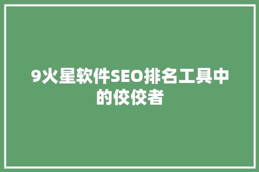 9火星软件SEO排名工具中的佼佼者