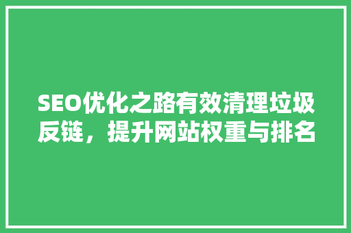SEO优化之路有效清理垃圾反链，提升网站权重与排名