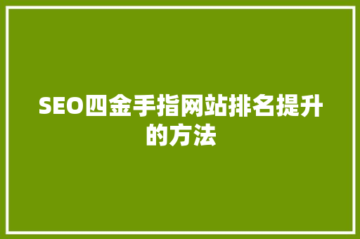 SEO四金手指网站排名提升的方法