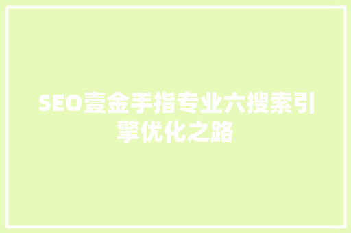 SEO壹金手指专业六搜索引擎优化之路