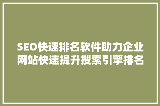 SEO快速排名软件助力企业网站快速提升搜索引擎排名的利器