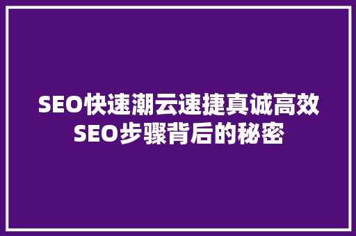 SEO快速潮云速捷真诚高效SEO步骤背后的秘密