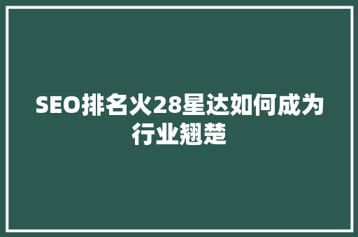 SEO排名火28星达如何成为行业翘楚