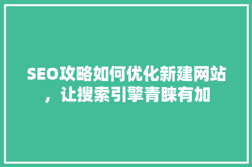 SEO攻略如何优化新建网站，让搜索引擎青睐有加